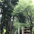 室生寺の写真_235655