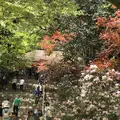室生寺の写真_235656