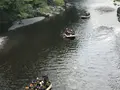 澤乃井園　清流ガーデンの写真_236439