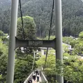 澤乃井園　清流ガーデンの写真_236440