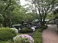 澤乃井園　清流ガーデンの写真_236445