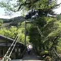 澤乃井園　清流ガーデンの写真_236447