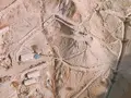 大涌谷の写真_236549