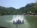 Wonderful Nature Village（わんダフルネイチャーヴィレッジ）の写真_236642