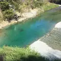 いの町の写真_236663