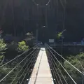 いの町の写真_236664