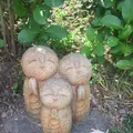 長谷寺の写真_237264