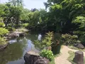 長谷寺の写真_237265