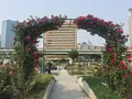 中之島公園の写真_237311