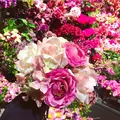 east side tokyoの写真_237767