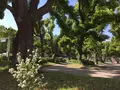 Le Pain Quotidien (ル・パン・コティディアン) 芝公園店の写真_237939