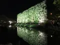 あしかがフラワーパークの写真_238041