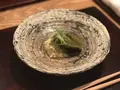 虎白の写真_238516
