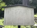 清水谷公園の写真_238660