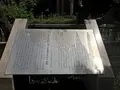 清水谷公園の写真_238661