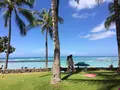 ワイキキの写真_238883