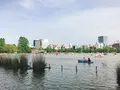 不忍池の写真_239035