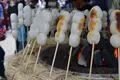 高尾山の写真_239172