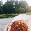 TOLO PAN TOKYO（トロパン トウキョウ）の写真_239254