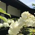甘味処 ふくまめの写真_239558