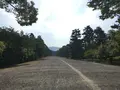 京都御苑の写真_239586