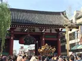 浅草の写真_239675