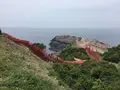 元乃隅神社の写真_239716