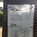 松陰神社の写真_239745