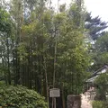 松陰神社の写真_239751