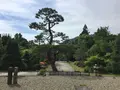 東光寺の写真_239760