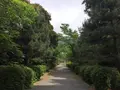 東光寺の写真_239764