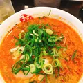 京都銀閣寺ますたにラーメン 日本橋本店の写真_239826