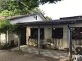 waletの写真_239866