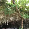 ガンガラーの谷 ケイブカフェの写真_239909