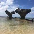 ハートロックの写真_239910