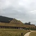ラコリーナ近江八幡の写真_239920