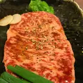 たんぽぽの写真_239937