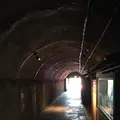 土肥金山の写真_240106