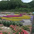 花フェスタ記念公園の写真_240403