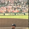 阪神甲子園球場の写真_240432