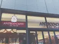 アンティコカフェ アルアビス 二子玉川店の写真_240596