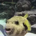 ムーンビーチの写真_240659