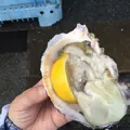 那珂湊おさかな市場の写真_240802