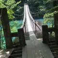 夢の吊橋の写真_240806