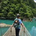 夢の吊橋の写真_240811