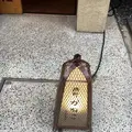 そば酒房かねこの写真_240827