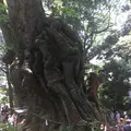 來宮神社の写真_241037