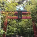 來宮神社の写真_241038