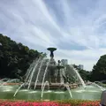 迎賓館赤坂離宮 (Akasaka Palace)の写真_241098