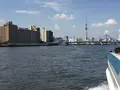 東京湾クルージングの写真_241440